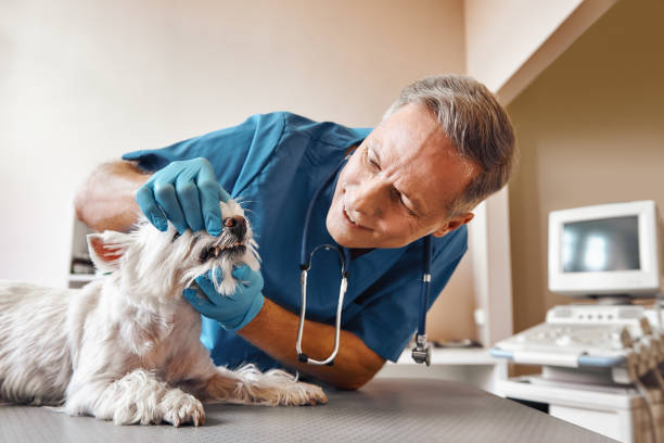 Best Same-Day Emergency Dental Services in Richland Hills, TX