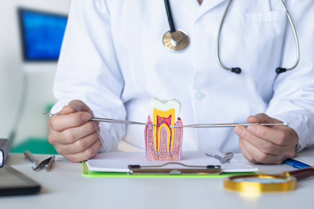 Best Emergency Treatment for Dental Infections or Abscesses in Richland Hills, TX